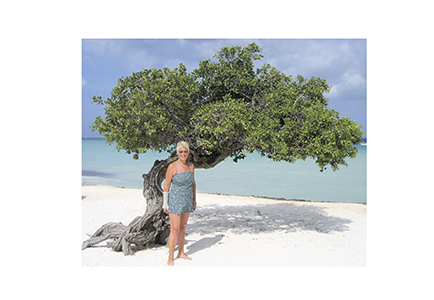 aruba_tree11