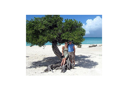 aruba_tree3