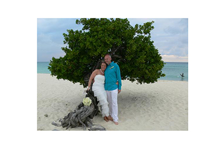 aruba_tree5