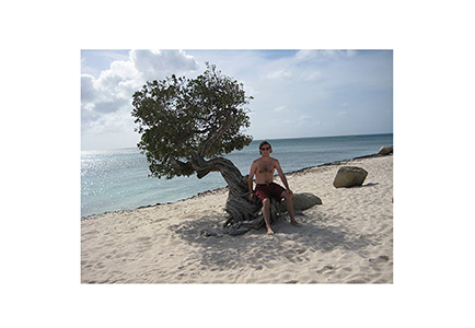 aruba_tree9